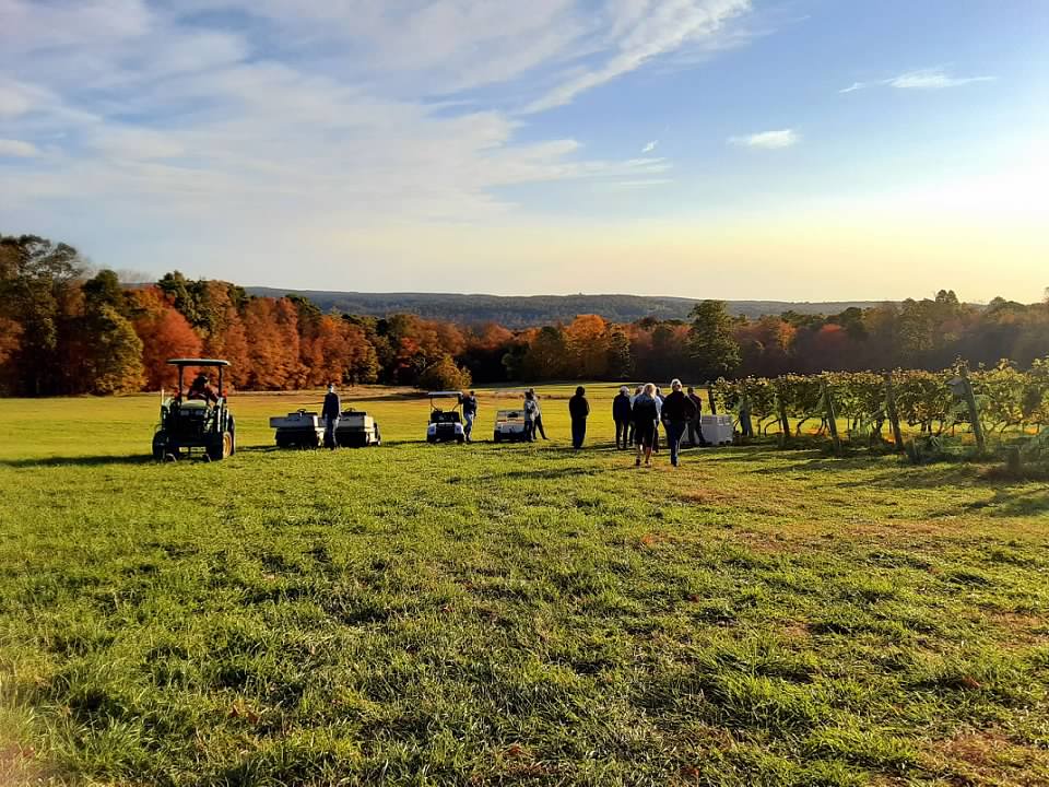 Fall Charcuterie Board Paint and Sip at Cassidy Hill Vineyard in Coventry CT | 10.25.23 | 6:30-8:30 PM