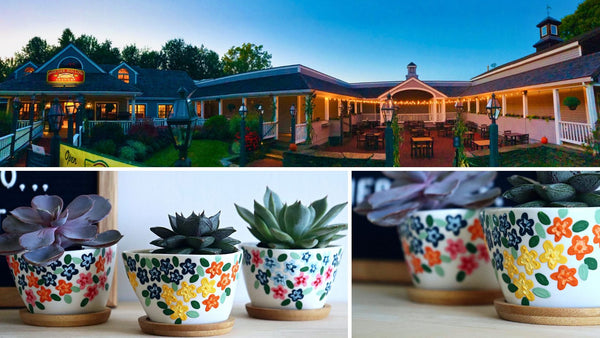 Succulents & Planters Paint and Sip at Powder Hollow Brewing at Yankee Candle Village in Deerfield MA | 5.2.24 | 6-8 PM
