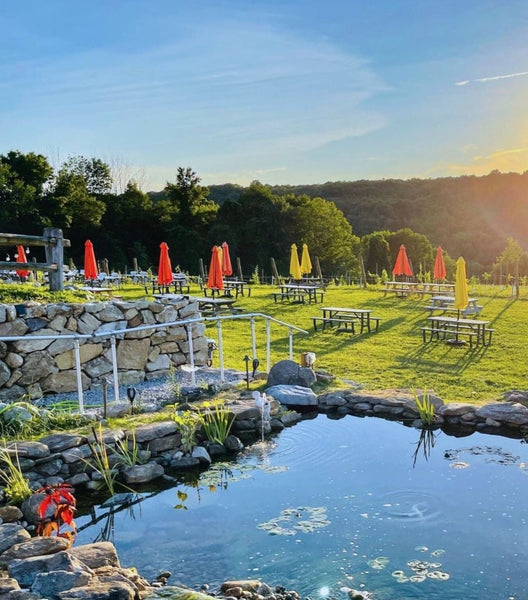 Winter Lantern Paint and Sip at Aquila's Nest Vineyards in Newtown CT