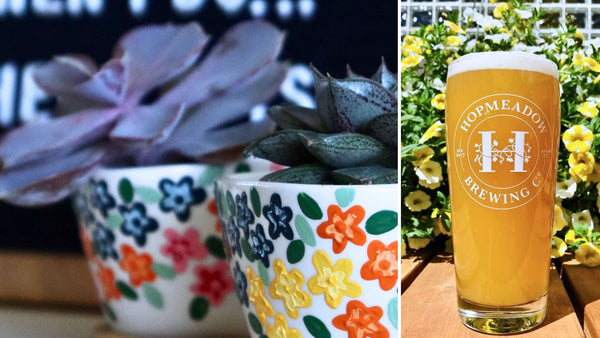Spring Succulents & Planters Paint and Sip at Hopmeadow Brewing Co. in Avon CT | 5.22.24 | 6-8 PM