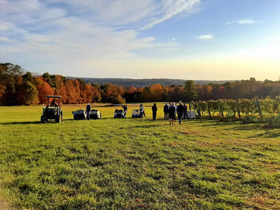 Fall Lantern Paint and Sip at Cassidy Hill Vineyard in Coventry CT | 10.18.23 | 6:30-8:30 PM