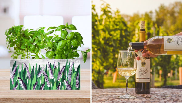 Spring Planter Paint & Sip at Paradise Hills Vineyards in Wallingford CT | 5.23.24 | 6-8PM