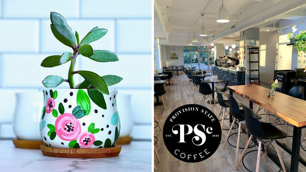 Spring Succulent Planters Paint & Sip at Provision State Coffee in Berlin CT | 5.30.24 | 6-8PM