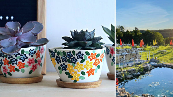Succulents & Planters Paint and Sip at Aquila's Nest Vineyards in Newtown CT | 4.18.24 | 6-8 PM
