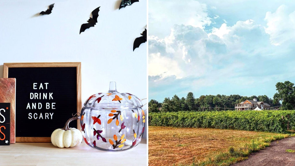 Glass Pumpkin Paint and Sip at Brignole Vineyards in East Granby CT | 10.11.23 | 5 -7 PM