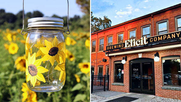 Sunflower SOLAR Lantern Paint and Sip at Elicit Brewing Co. in Manchester CT  | 4.30.24 | 6-8 PM