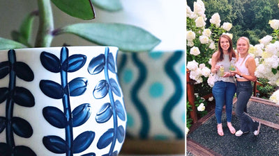 Succulents & Planters Paint & Sip at Paradise Hills Vineyards in Wallingford CT | 8.28.25 | 6-8 PM
