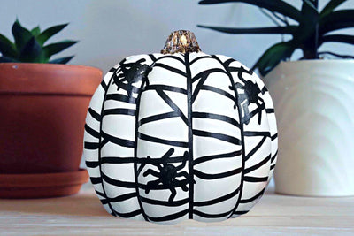 Spooky Spider 🕸️ Pumpkin Paint and Sip at Eli's Tavern in Milford CT | 10.23.24 | 6:30-8:30 PM