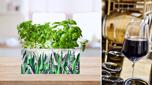 *LOCAL COLLABORATION* Spring Planter Paint & Sip at Valor Wines, with DeFrancesco Farms Pop Up Shop | North Haven CT  | 4.21.24 | 2-4 PM