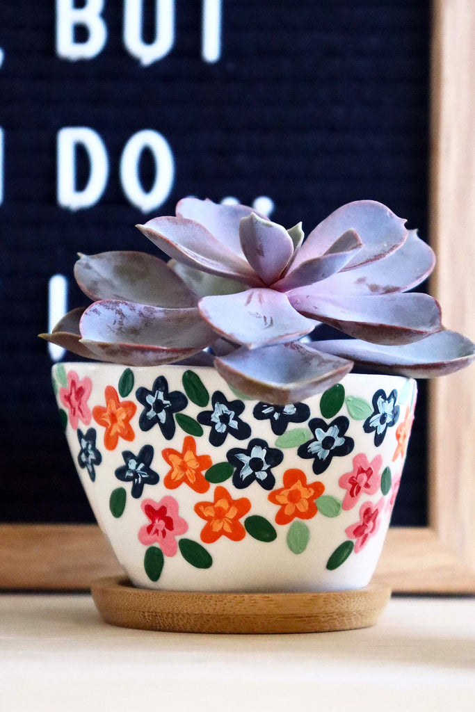 Spring Succulents & Planters at Aquila's Nest Vineyards in Newtown CT | 5.14.25 | 6-8 PM