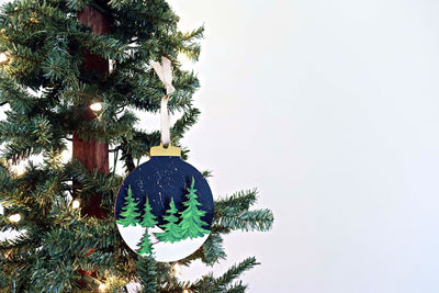 DIY in a BOX | Set of 5 Winter Ornaments Craft Kit