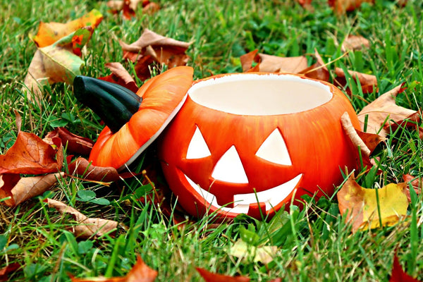 DIY in a BOX | Lighted Jack-o-Lantern Craft Kit