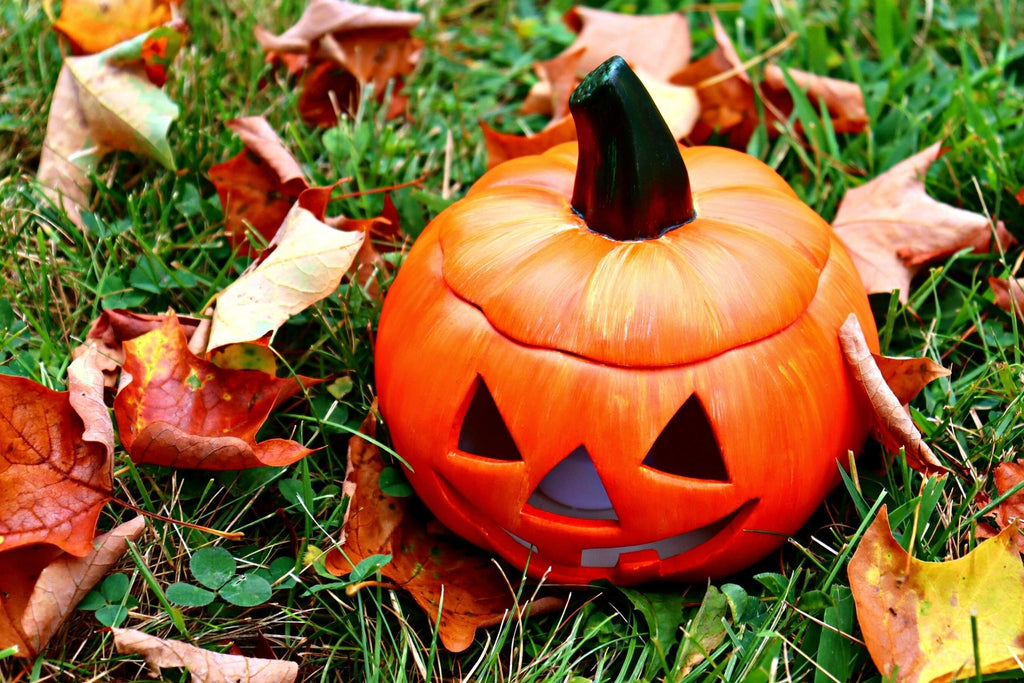 DIY in a BOX | Lighted Jack-o-Lantern Craft Kit
