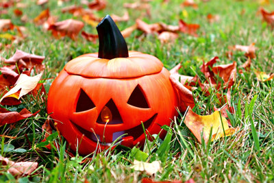 DIY in a BOX | Lighted Jack-o-Lantern Craft Kit